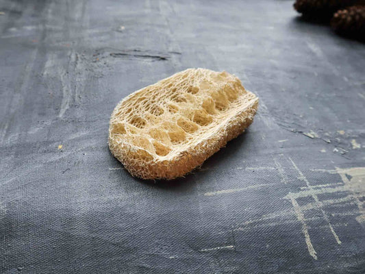 Loofah Dishwashing Sponge- set of 2