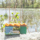 Bar Soap | Cellar Door Bath Supply Co.