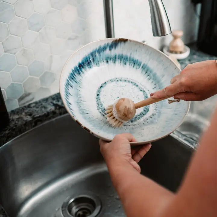 Long Handle Dish Brush
