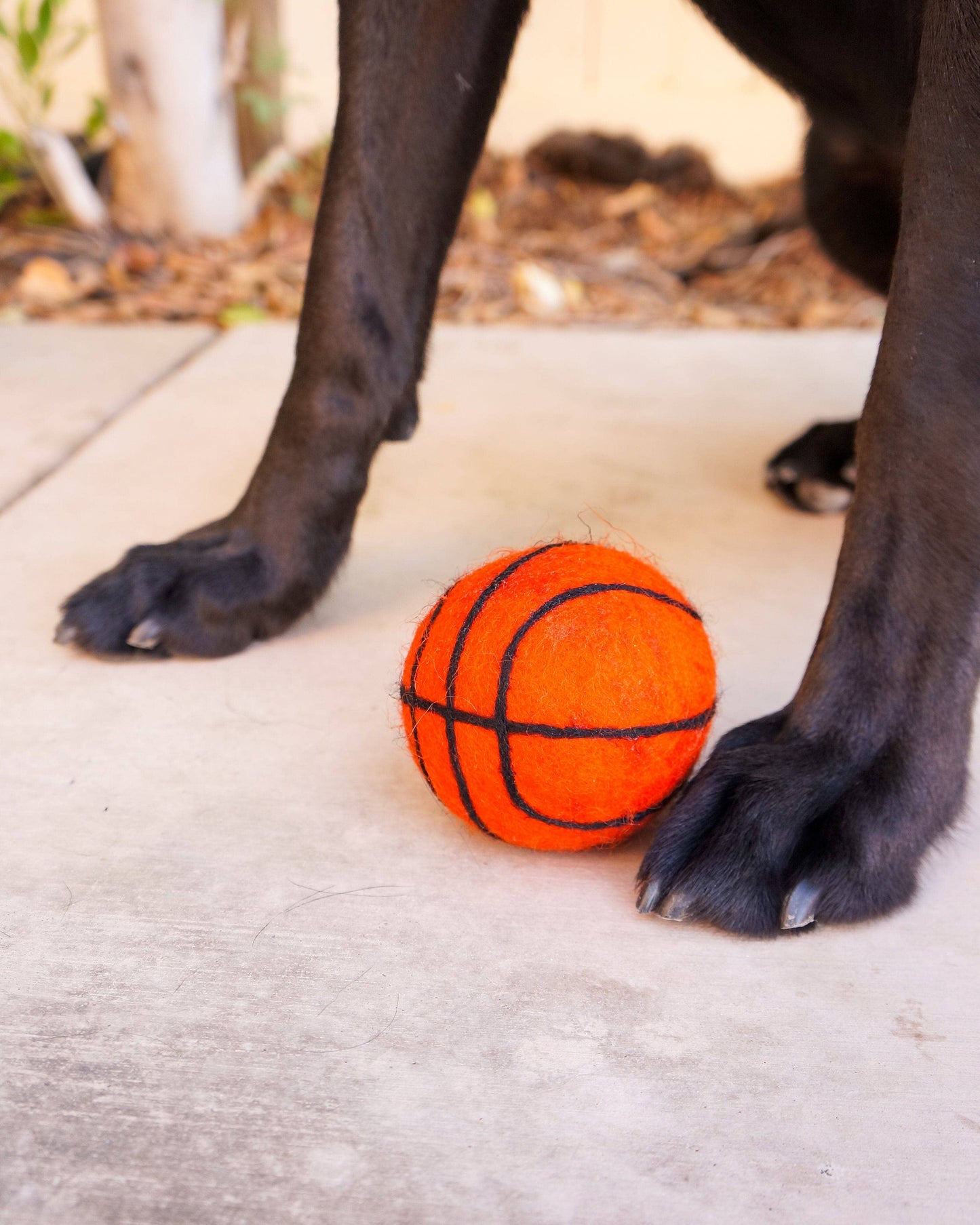 XL Pet Toy Wool Sport Ball