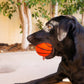 XL Pet Toy Wool Sport Ball