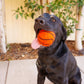 XL Pet Toy Wool Sport Ball