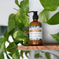 Body Lotion | ONLINE REFILL