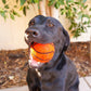 XL Pet Toy Wool Sport Ball