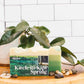 Bar Soap | Cellar Door Bath Supply Co.