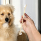 Bamboo Pet Toothbrush