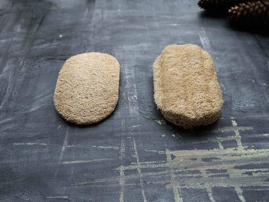 Loofah Dishwashing Sponge- set of 2