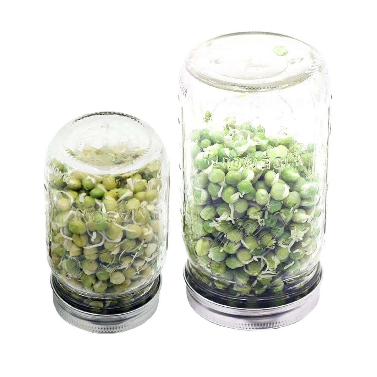Stainless Steel Mesh Lid (Sprouting, Straining, Sifting, Sprinkling)