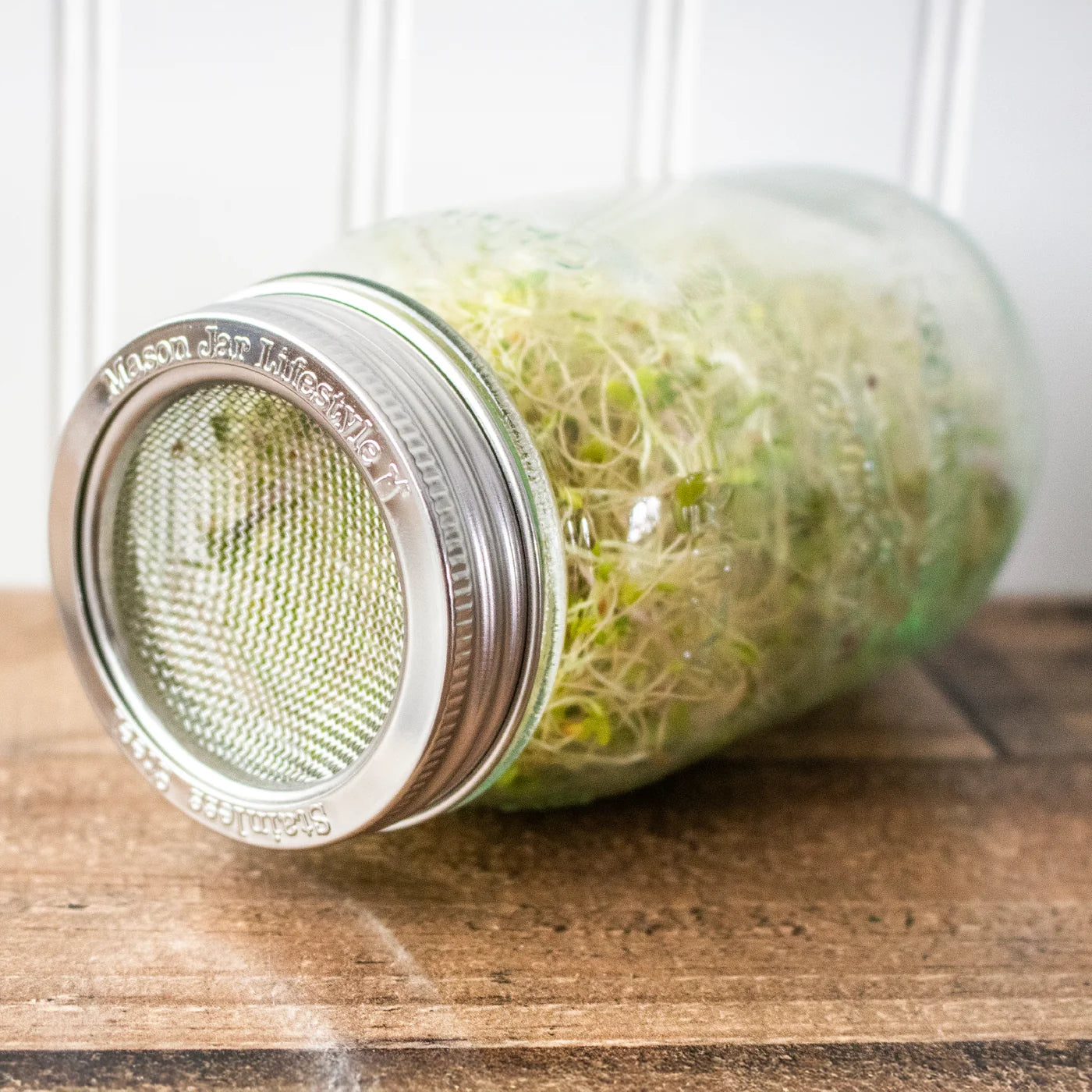 Stainless Steel Mesh Lid (Sprouting, Straining, Sifting, Sprinkling)